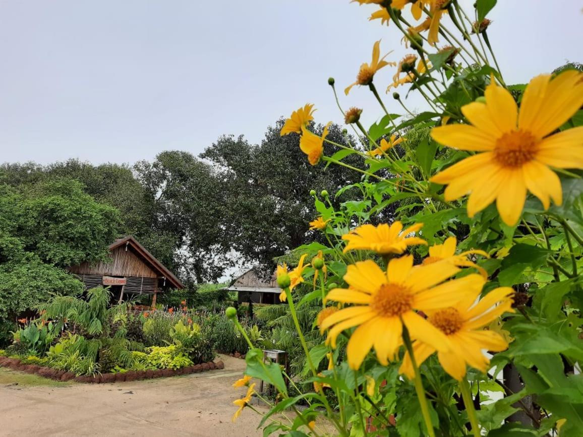 Hotel Beach Lagoon Parans Arugam Bay Exterior foto